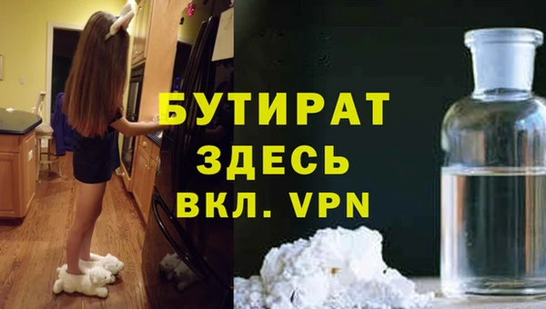 индика Горнозаводск