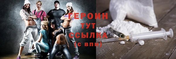 индика Горнозаводск