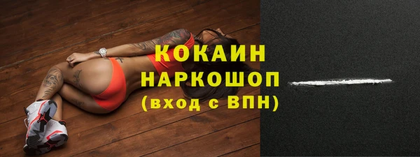 индика Горнозаводск