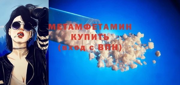 индика Горнозаводск