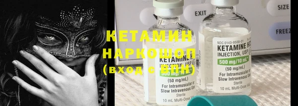 индика Горнозаводск
