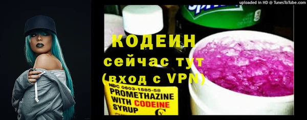 индика Горнозаводск