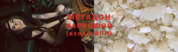 индика Горнозаводск