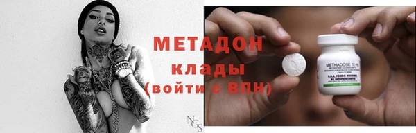 индика Горнозаводск