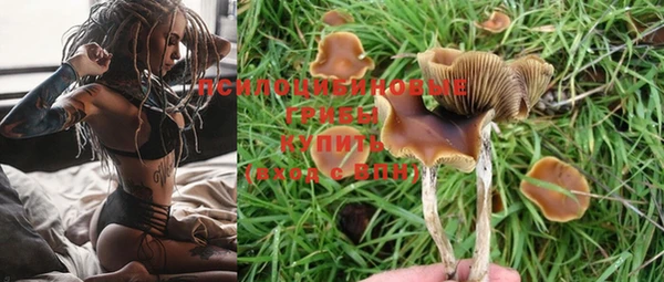 mdpv Горняк