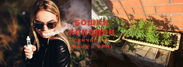 индика Горнозаводск