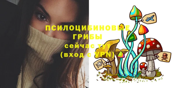 mdpv Горняк