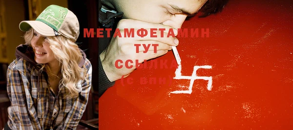 индика Горнозаводск