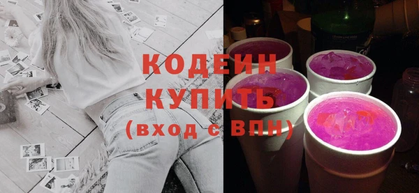 индика Горнозаводск
